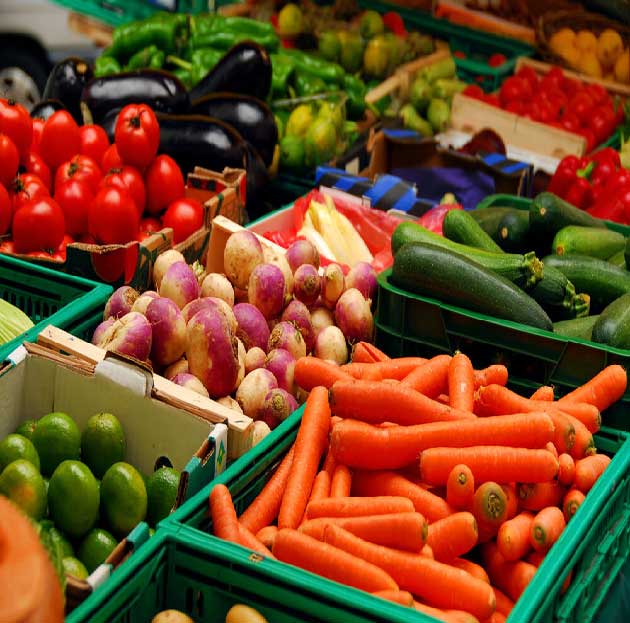 Agriculture Products